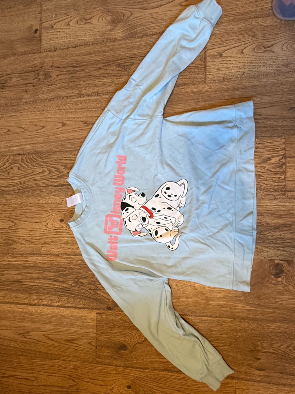Walt Disney World Light Blue Sweatshirt with two Dalmatians